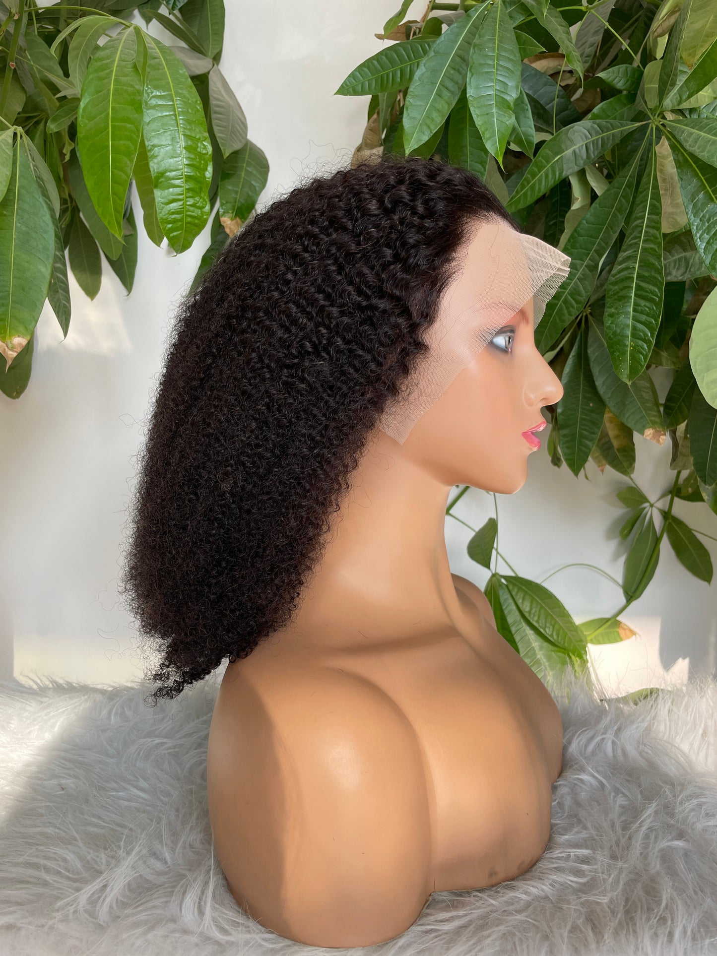Afro Kinky Curly Hair Wigs Quality Curly Lace Front Wigs With Baby Hair For Women