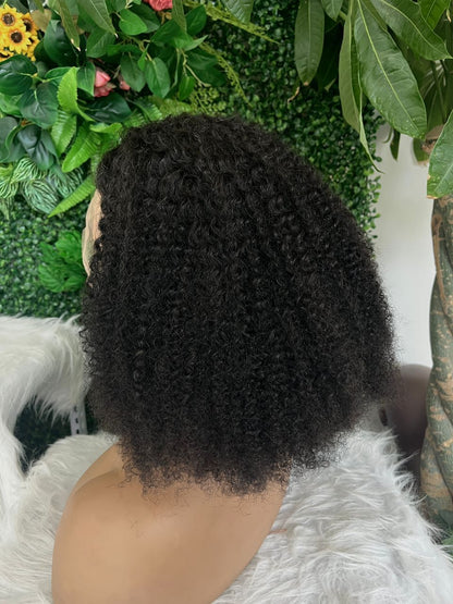 Afro Kinky Curly Hair Wigs Quality Curly Lace Front Wigs With Baby Hair For Women